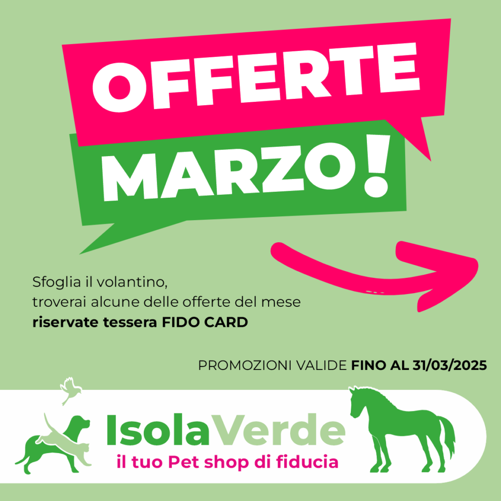 2025 VOLANTINO MARZO_1