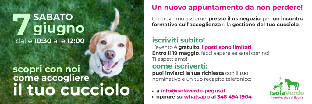 Scopri con noi come accogliere il tuo cucciolo.