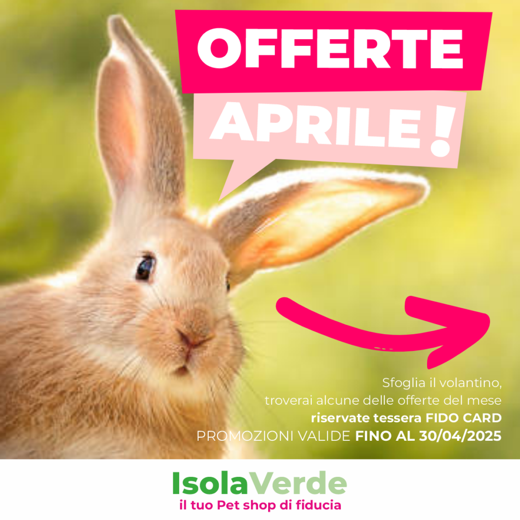 VOLANTINO APRILE