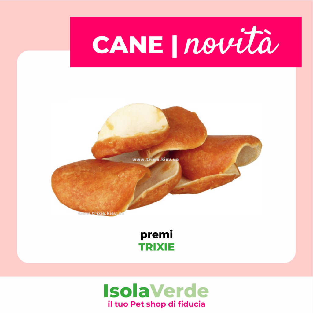 VOLANTINO APRILE_10