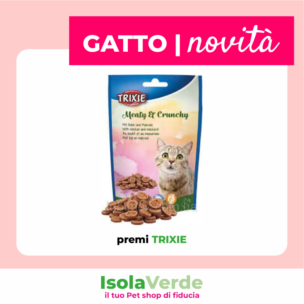 VOLANTINO APRILE_11