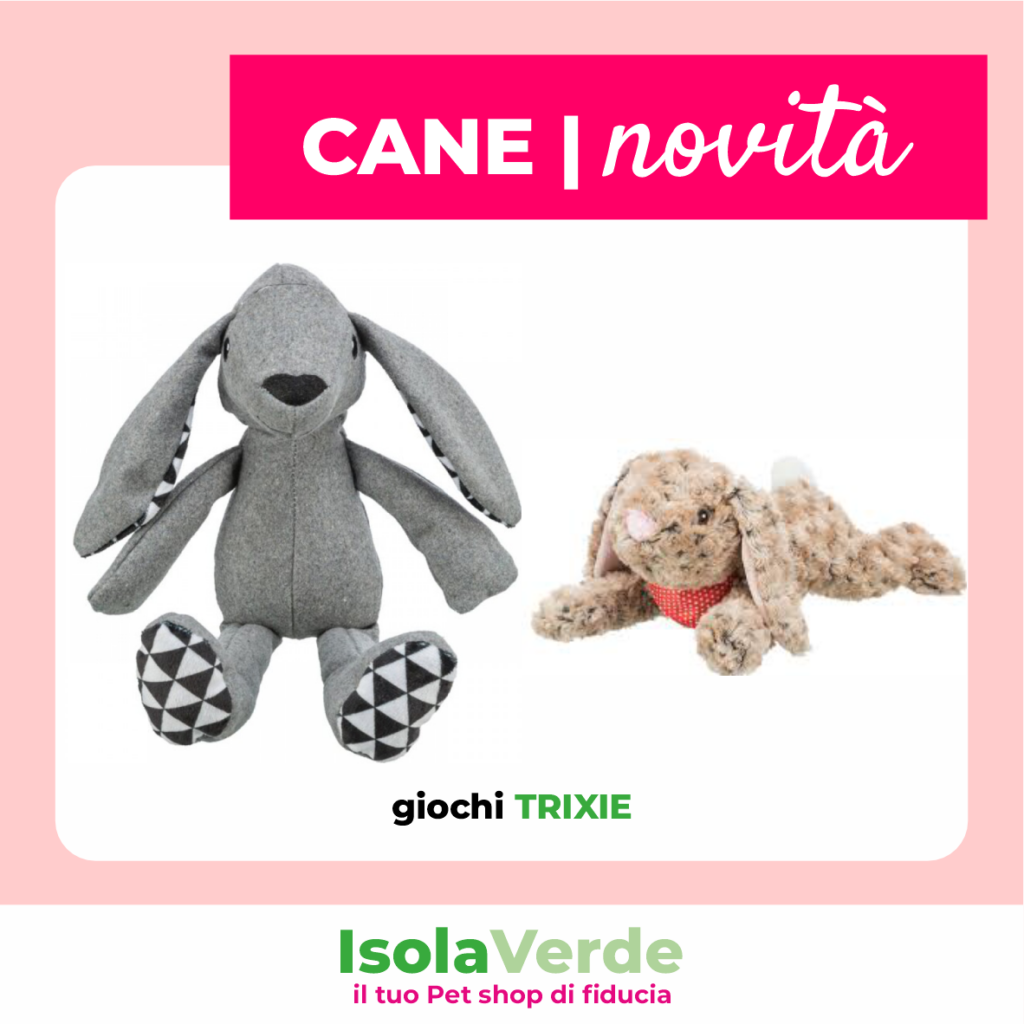 VOLANTINO APRILE_12