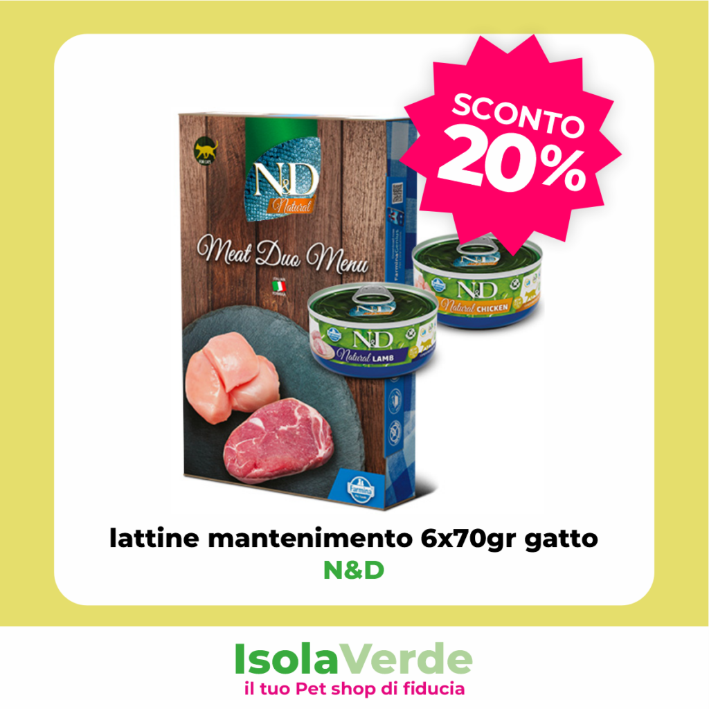 VOLANTINO APRILE_2