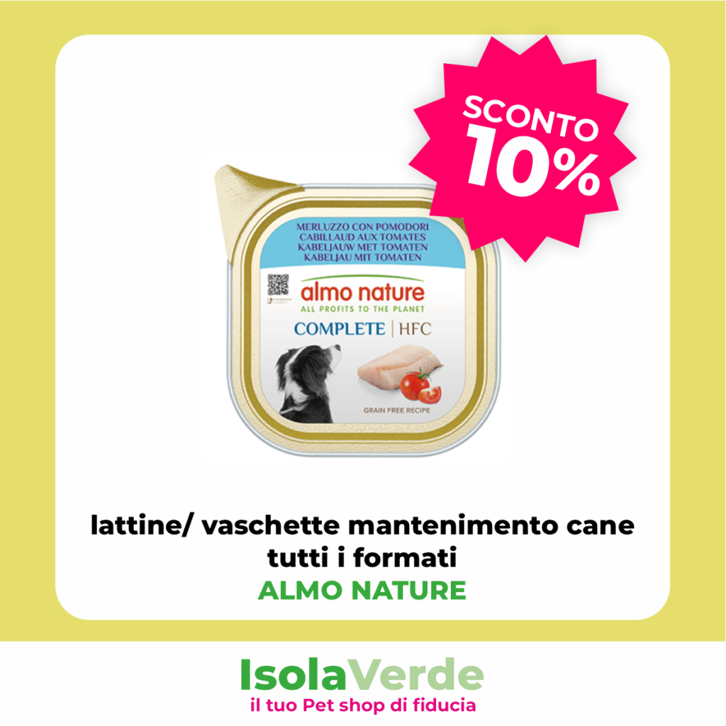 VOLANTINO APRILE_3