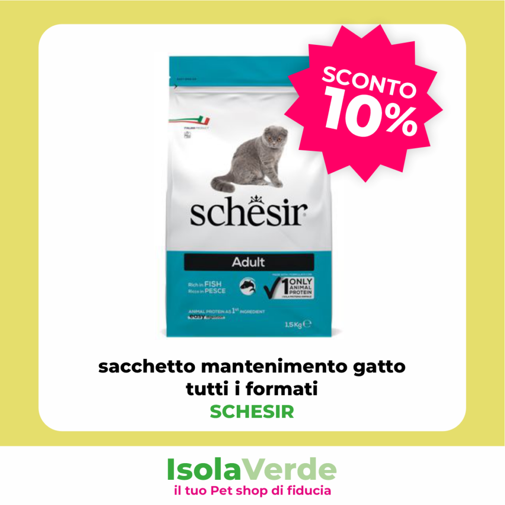 VOLANTINO APRILE_5