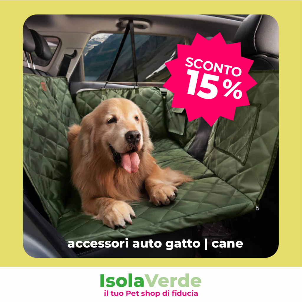 VOLANTINO APRILE_8