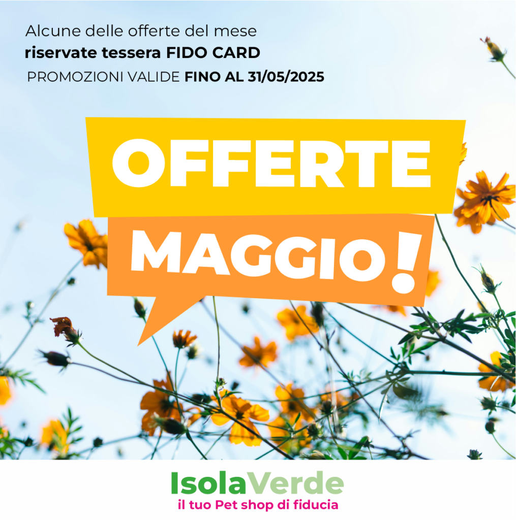 VOLANTINO MAGGIO 1