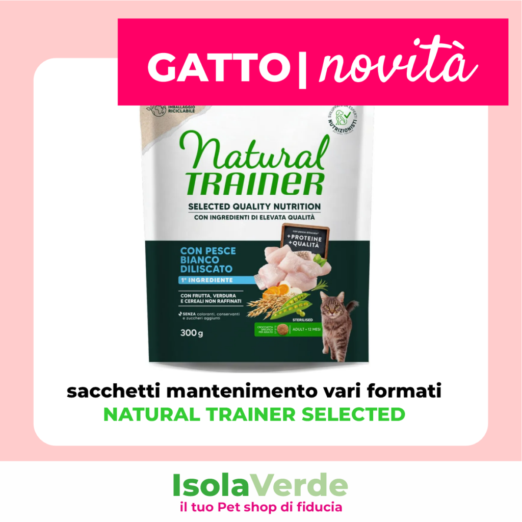 VOLANTINO MAGGIO 10
