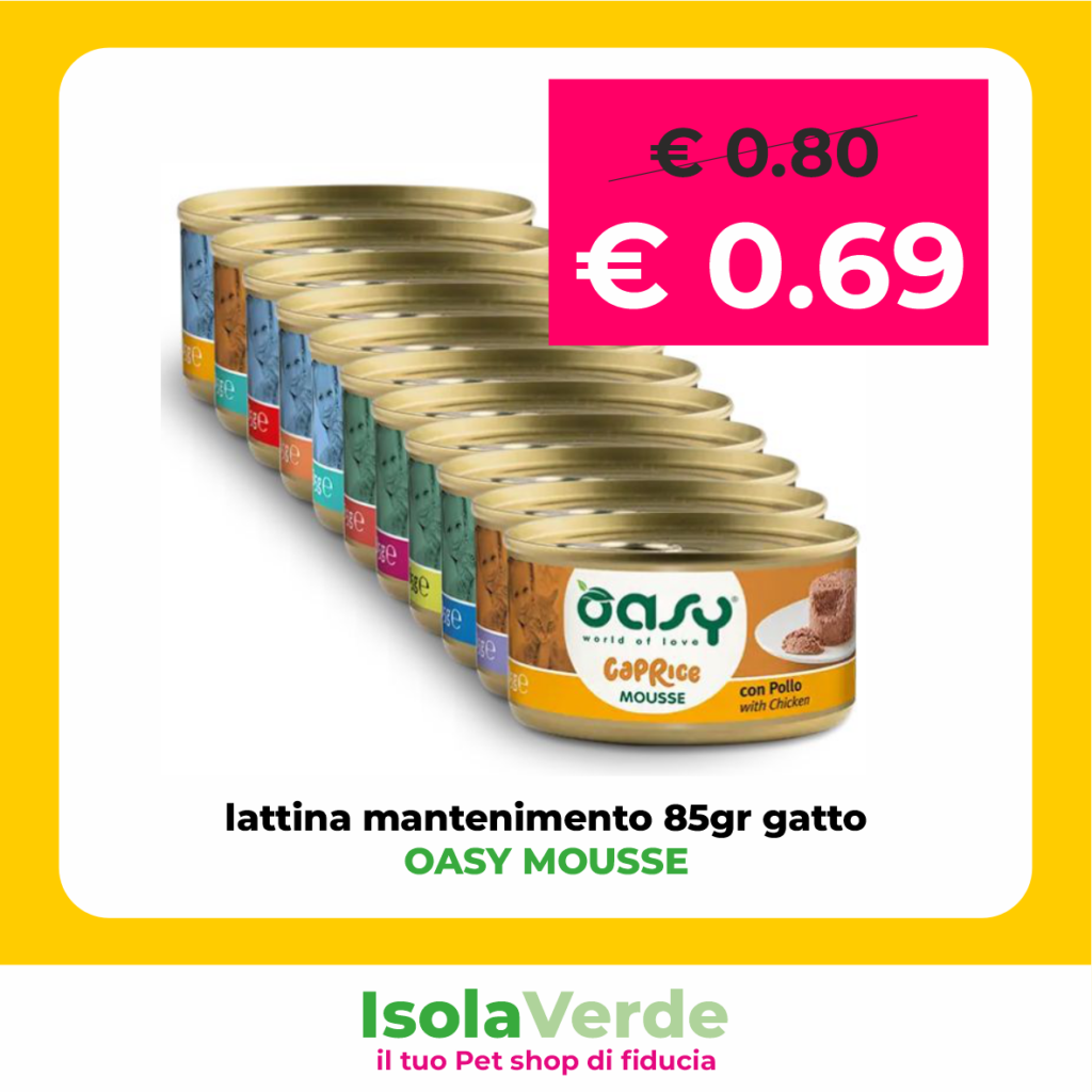VOLANTINO MAGGIO 2