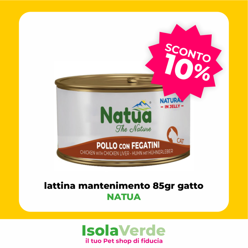 VOLANTINO MAGGIO 4