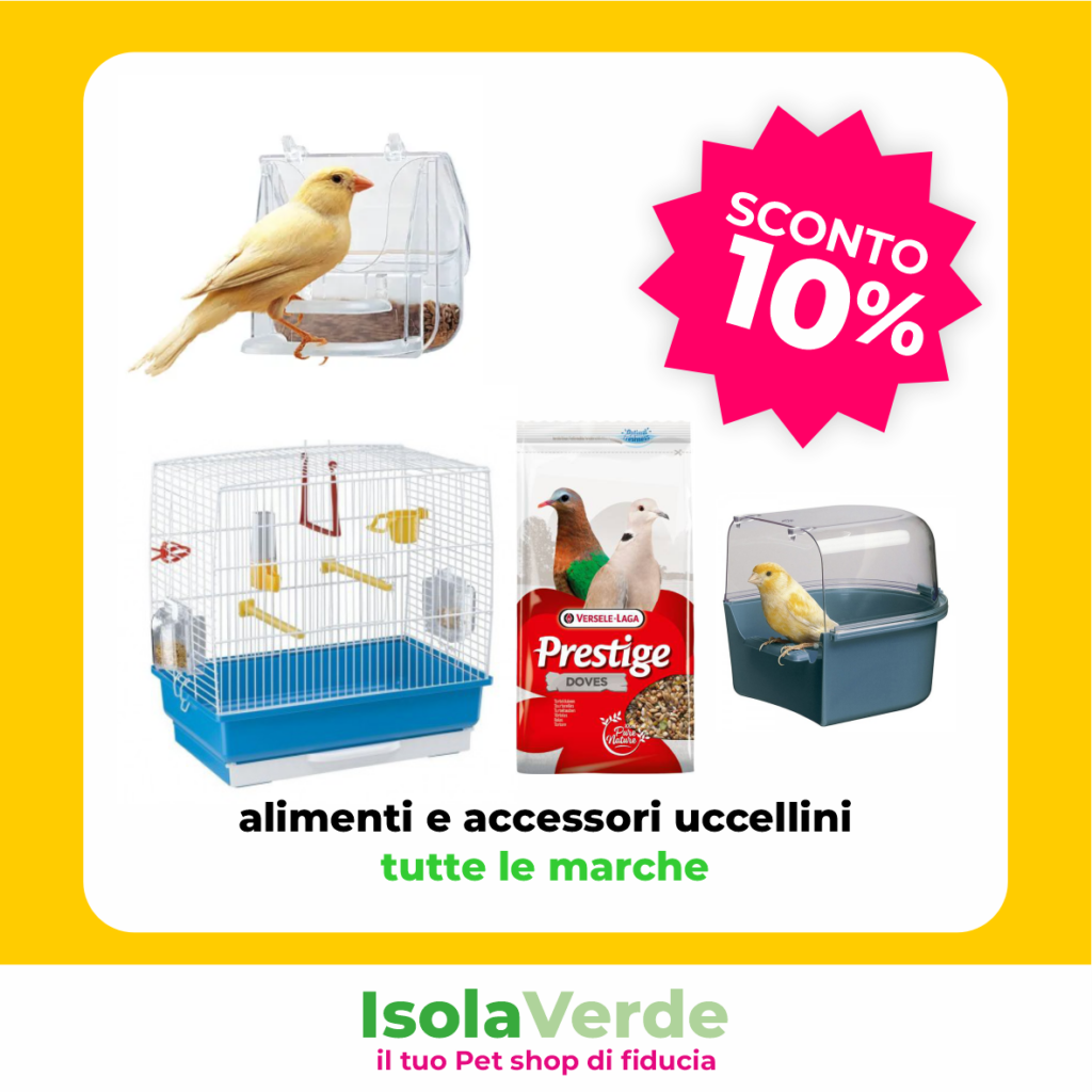VOLANTINO MAGGIO 5