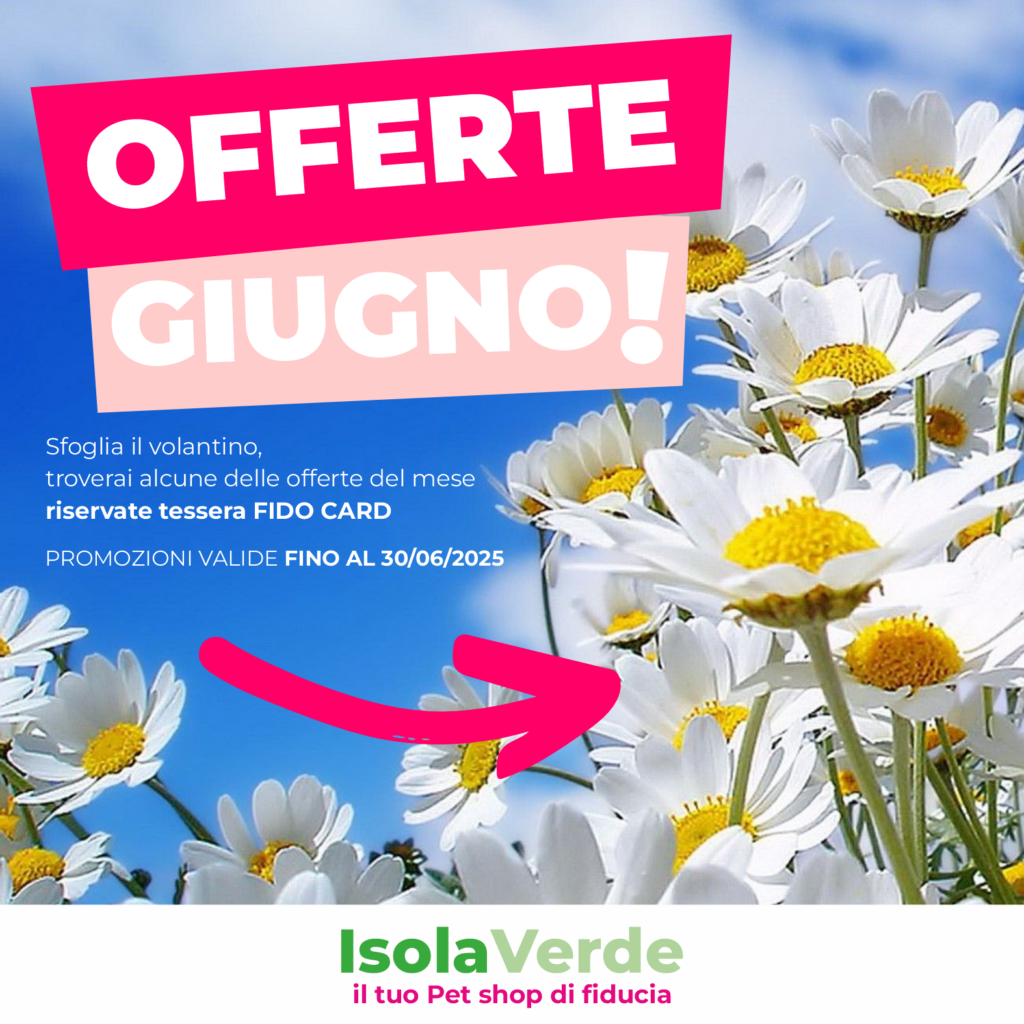 GIUGNO 1