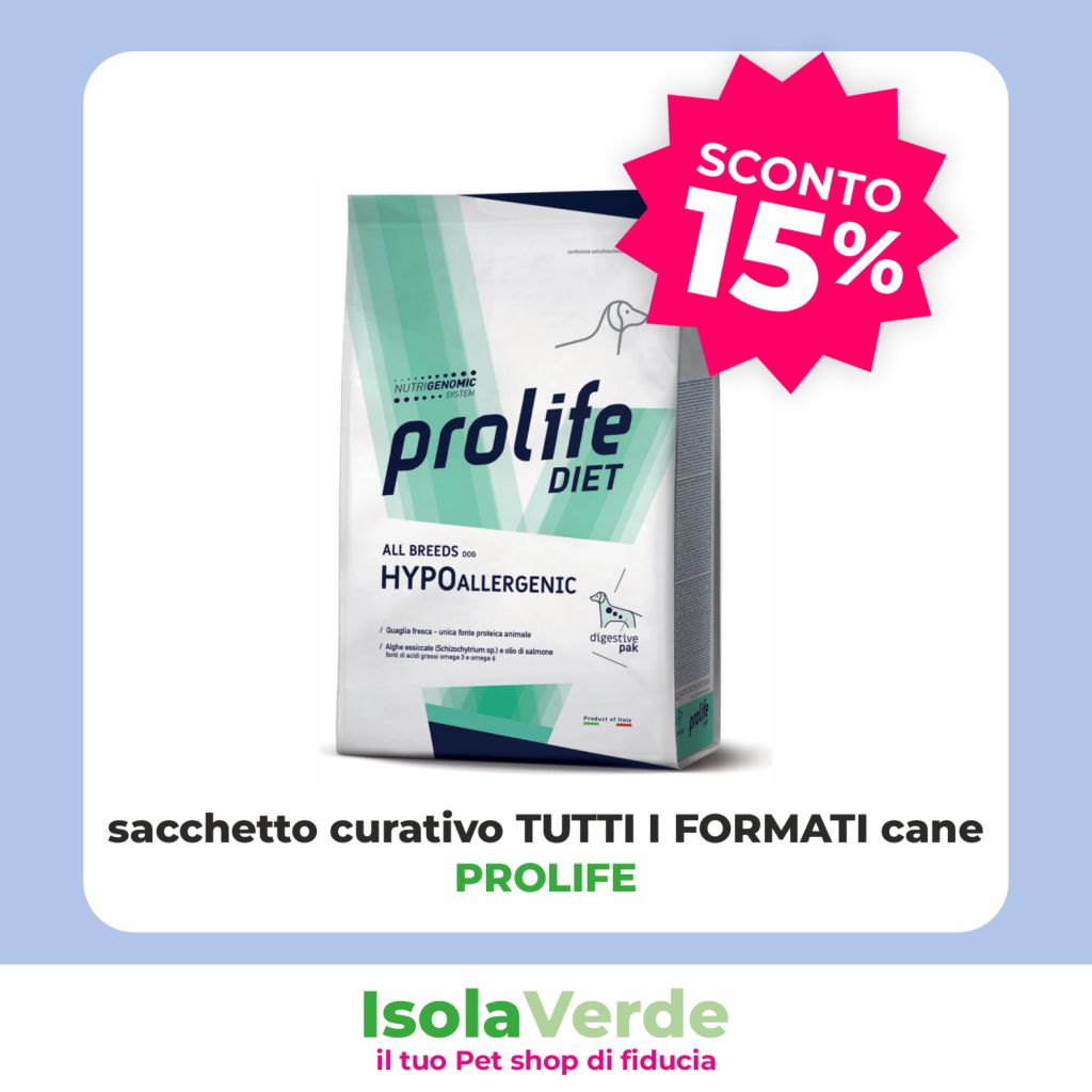 VOLANTINO GIUGNO 10