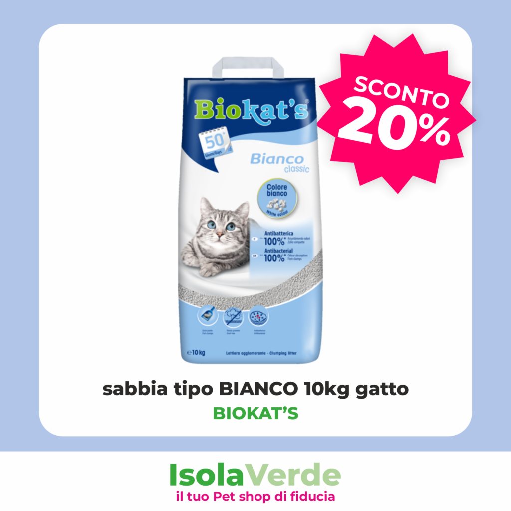 VOLANTINO GIUGNO 4