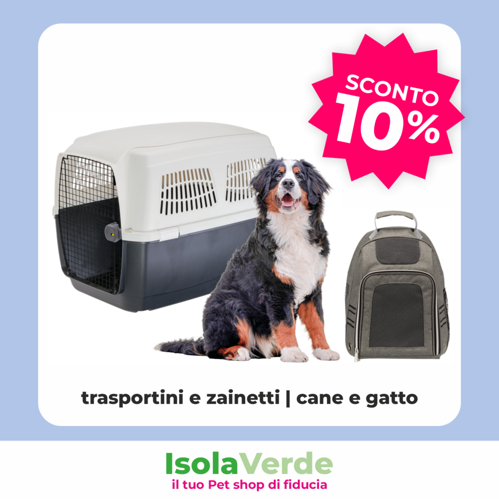 VOLANTINO GIUGNO 8