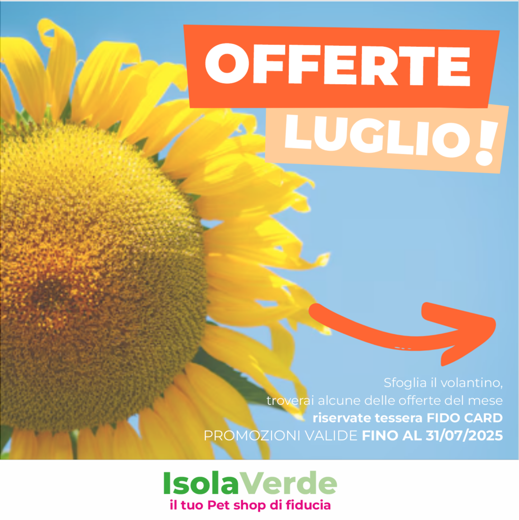 VOLANTINO LUGLIO 2025