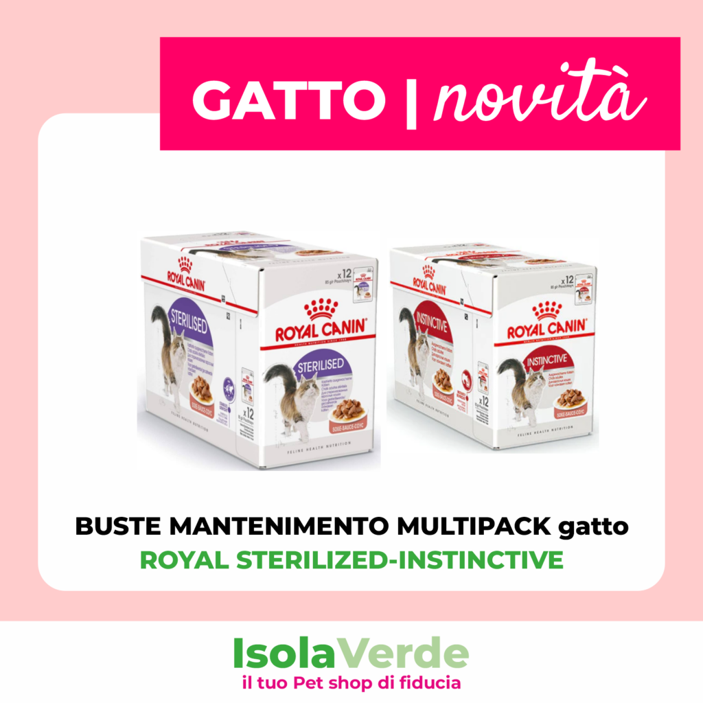 VOLANTINO LUGLIO 2025_10