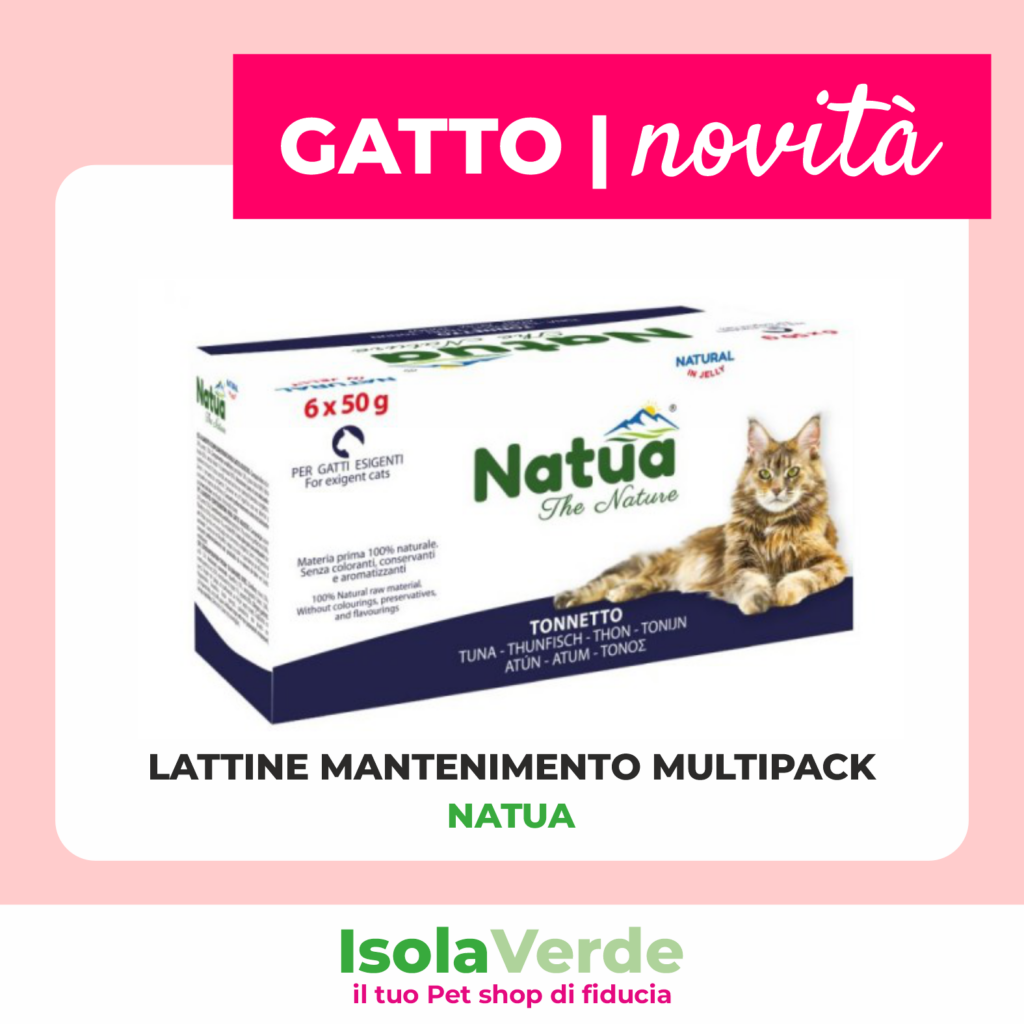 VOLANTINO LUGLIO 2025_9