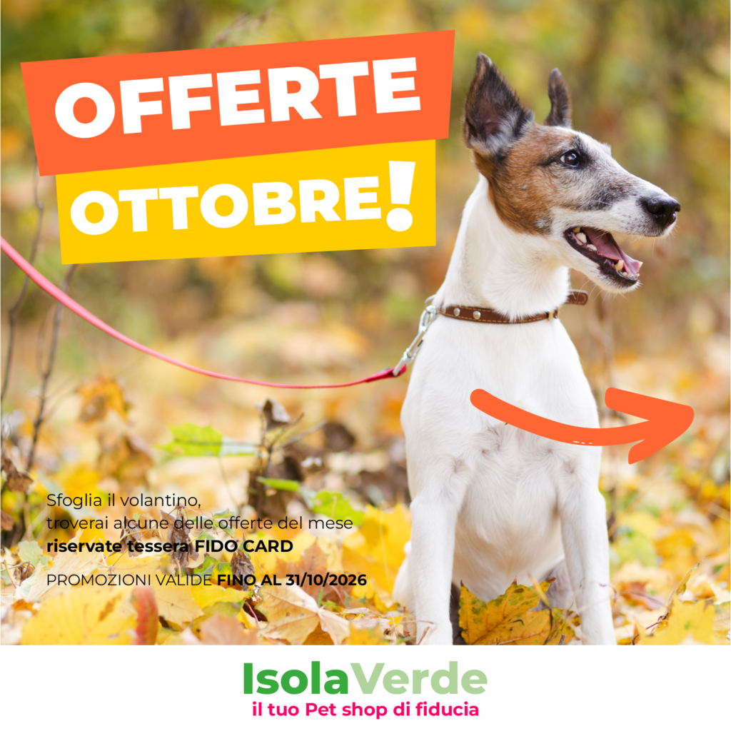 VOLANTINO OTTOBRE 2026