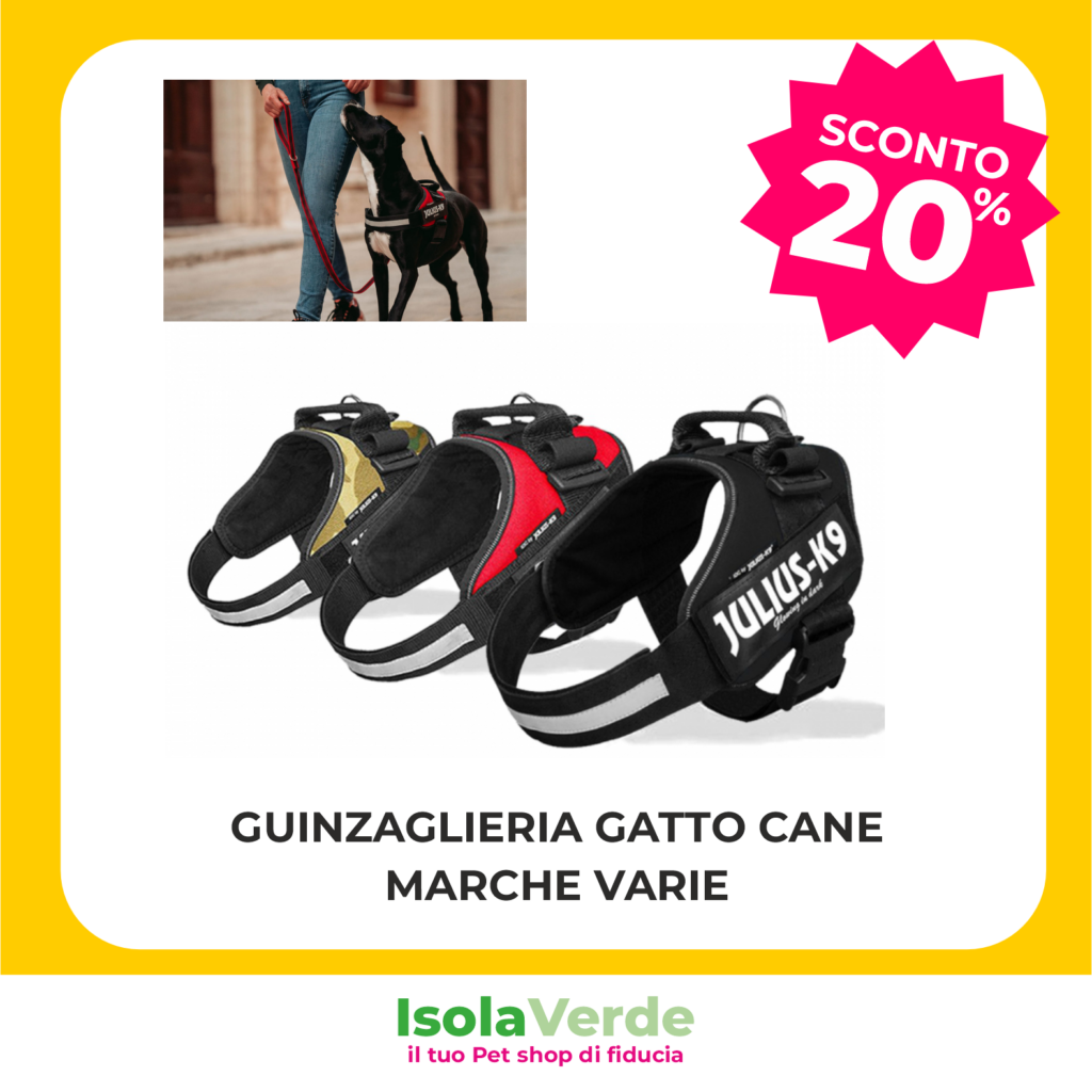 VOLANTINO OTTOBRE 2026_6